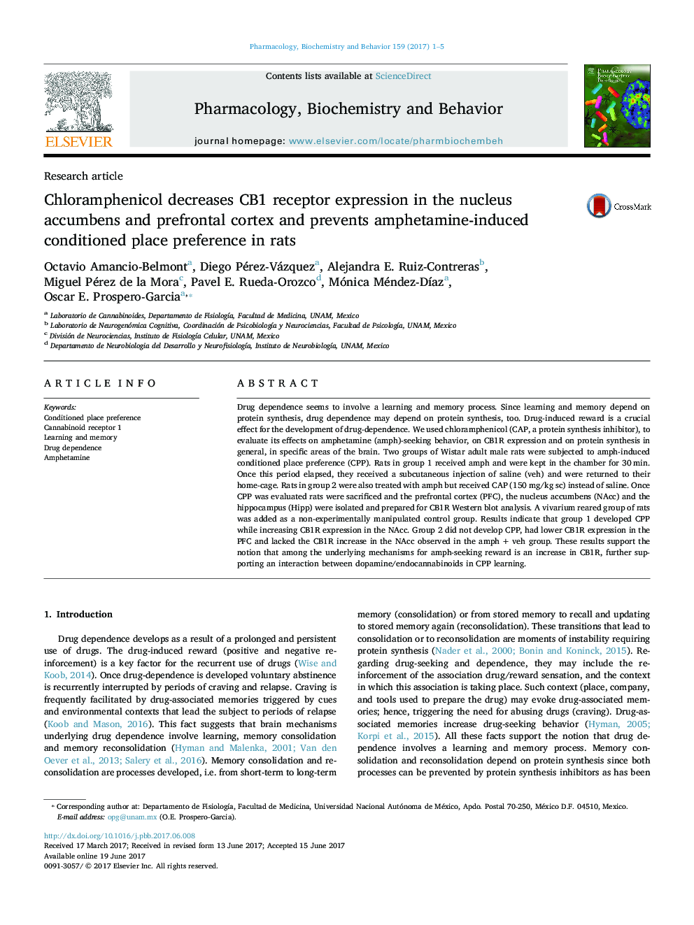 Research articleChloramphenicol decreases CB1 receptor expression in the nucleus accumbens and prefrontal cortex and prevents amphetamine-induced conditioned place preference in rats