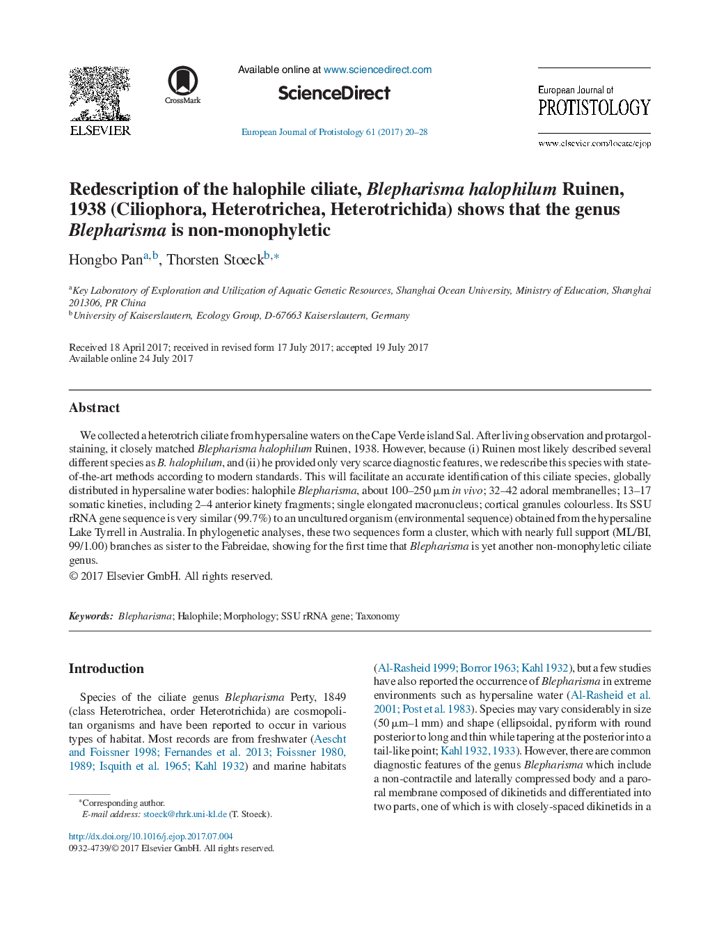 Redescription of the halophile ciliate, Blepharisma halophilum Ruinen, 1938 (Ciliophora, Heterotrichea, Heterotrichida) shows that the genus Blepharisma is non-monophyletic