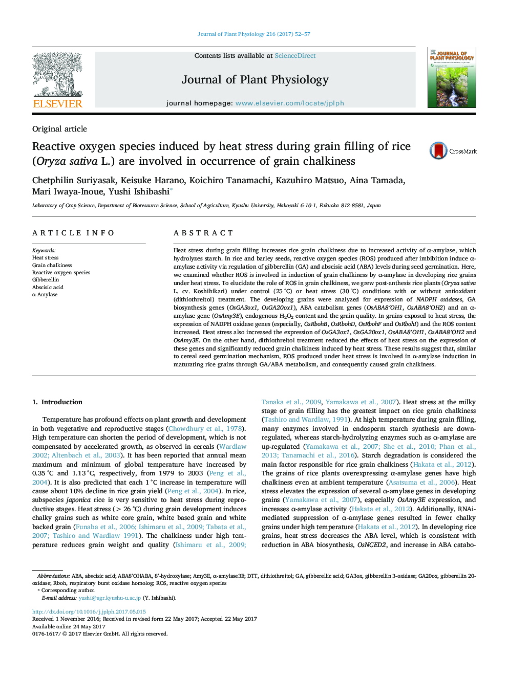 Original articleReactive oxygen species induced by heat stress during grain filling of rice (Oryza sativa L.) are involved in occurrence of grain chalkiness