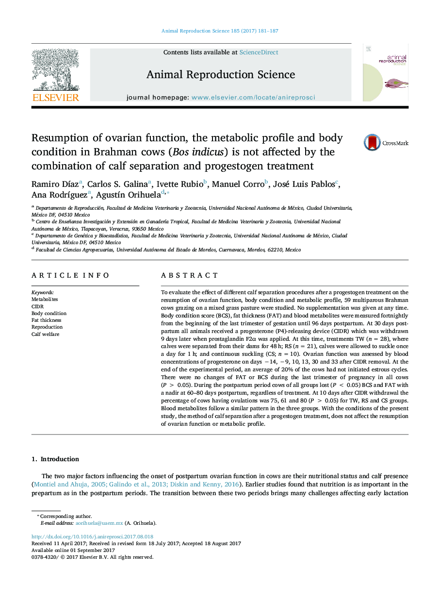 Resumption of ovarian function, the metabolic profile and body condition in Brahman cows (Bos indicus) is not affected by the combination of calf separation and progestogen treatment