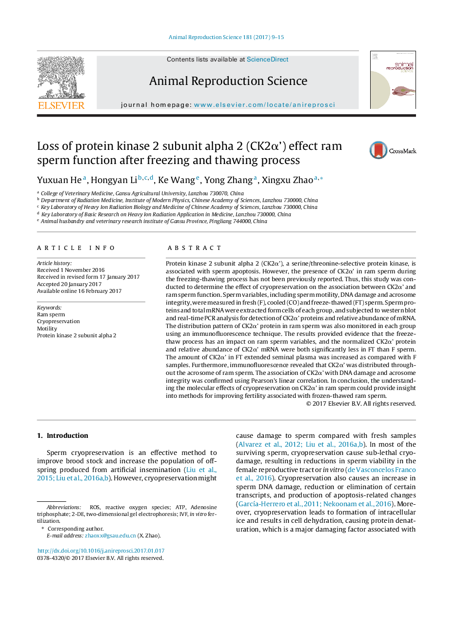 Loss of protein kinase 2 subunit alpha 2 (CK2Î±') effect ram sperm function after freezing and thawing process