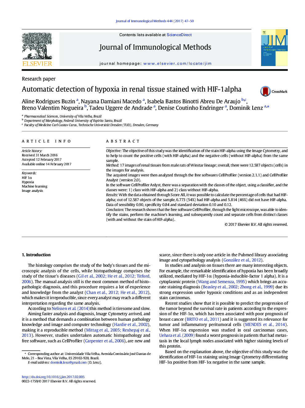 Research paperAutomatic detection of hypoxia in renal tissue stained with HIF-1alpha