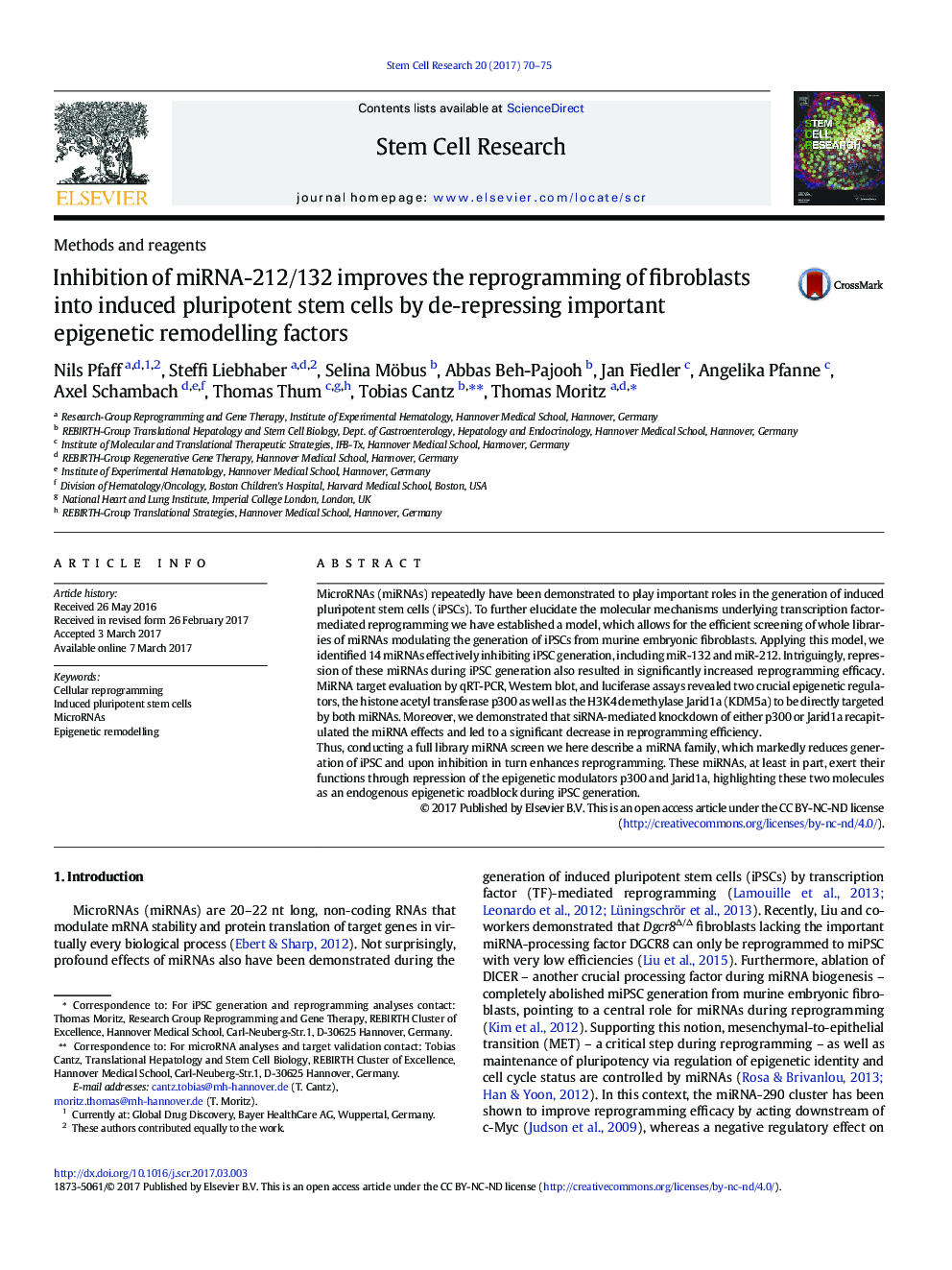 Inhibition of miRNA-212/132 improves the reprogramming of fibroblasts into induced pluripotent stem cells by de-repressing important epigenetic remodelling factors