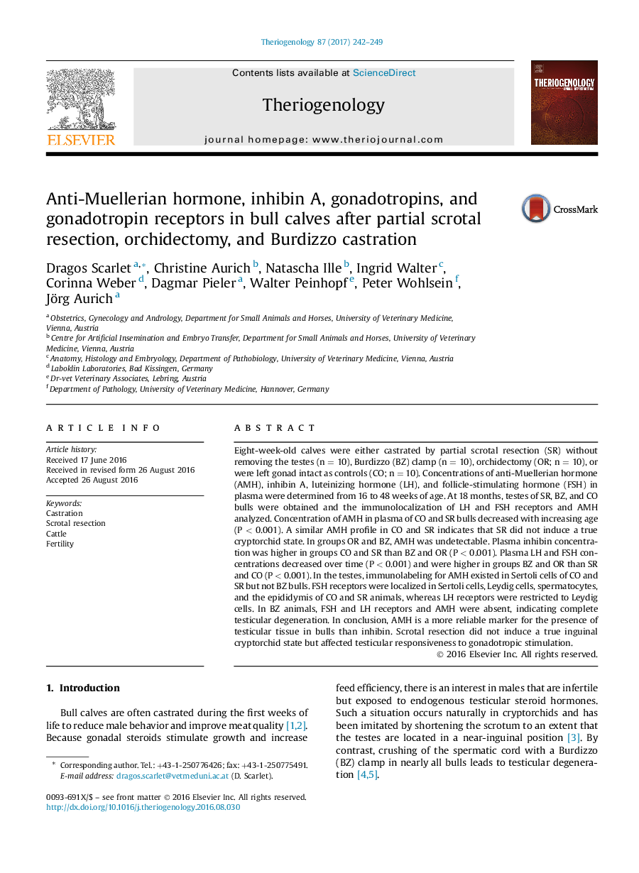 Research articleAnti-Muellerian hormone, inhibin A, gonadotropins, and gonadotropin receptors in bull calves after partial scrotal resection, orchidectomy, and Burdizzo castration