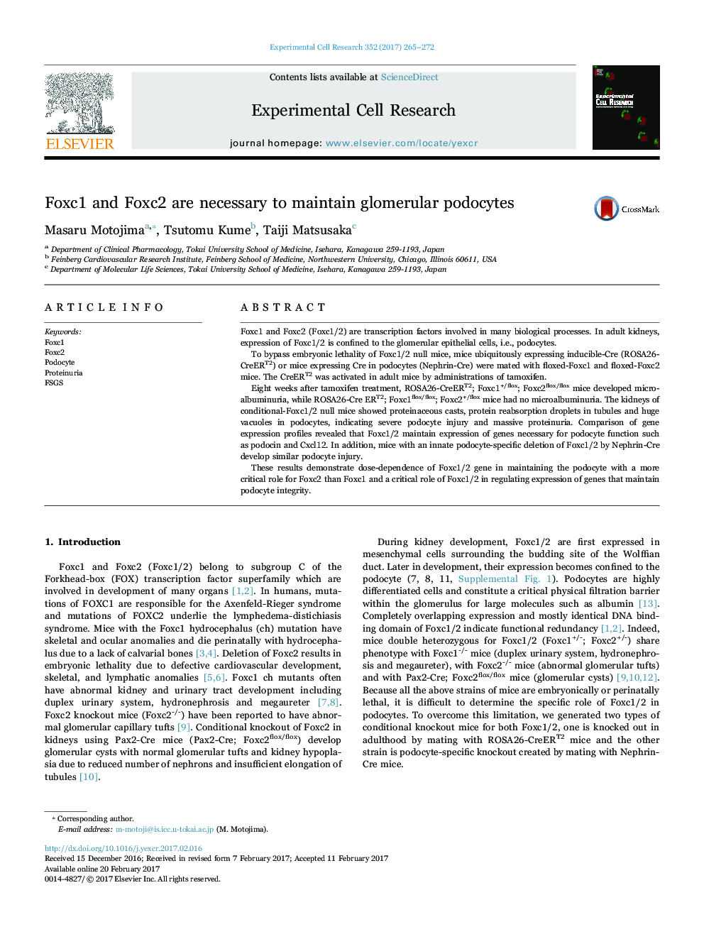 Foxc1 and Foxc2 are necessary to maintain glomerular podocytes