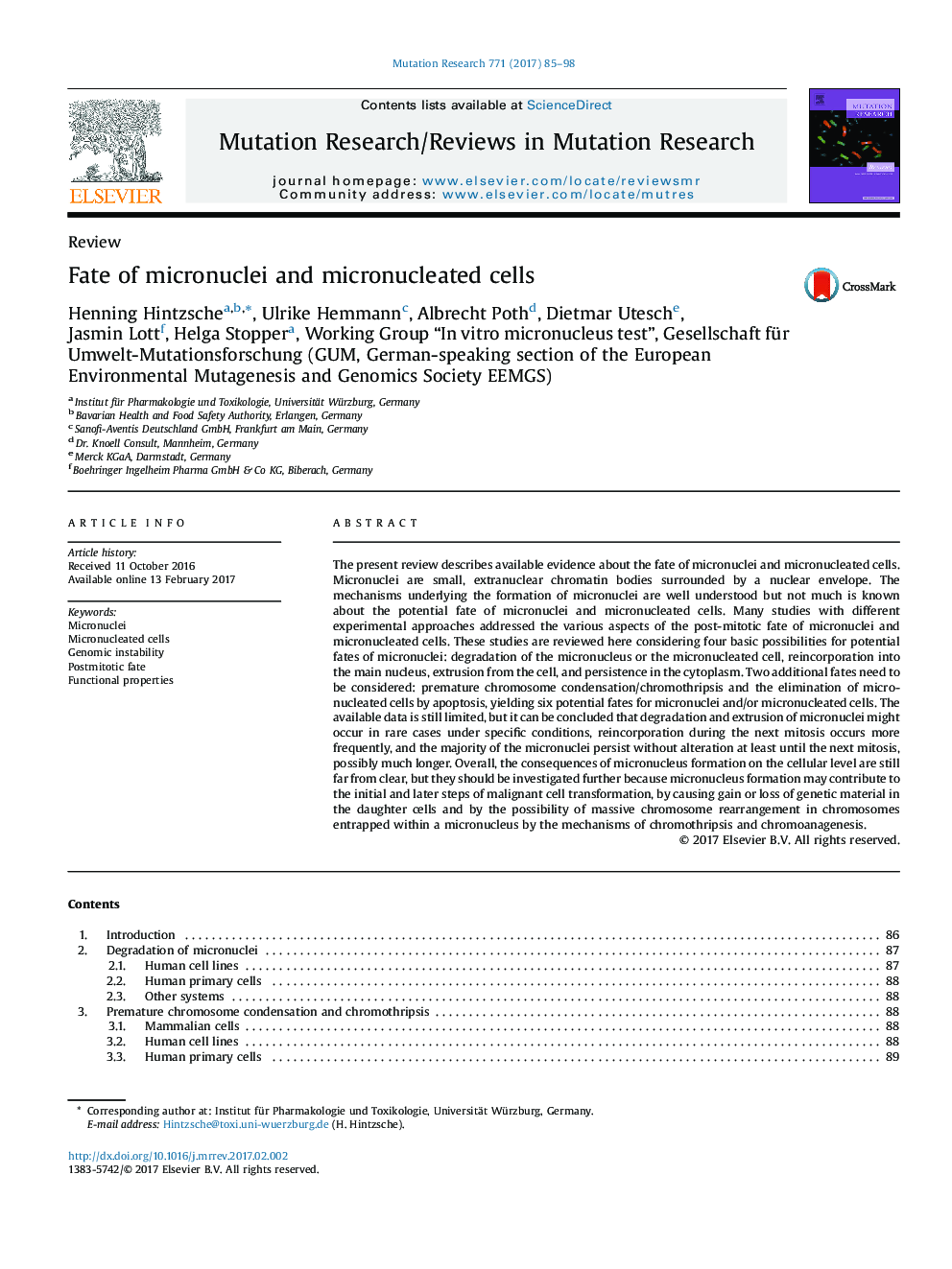 ReviewFate of micronuclei and micronucleated cells