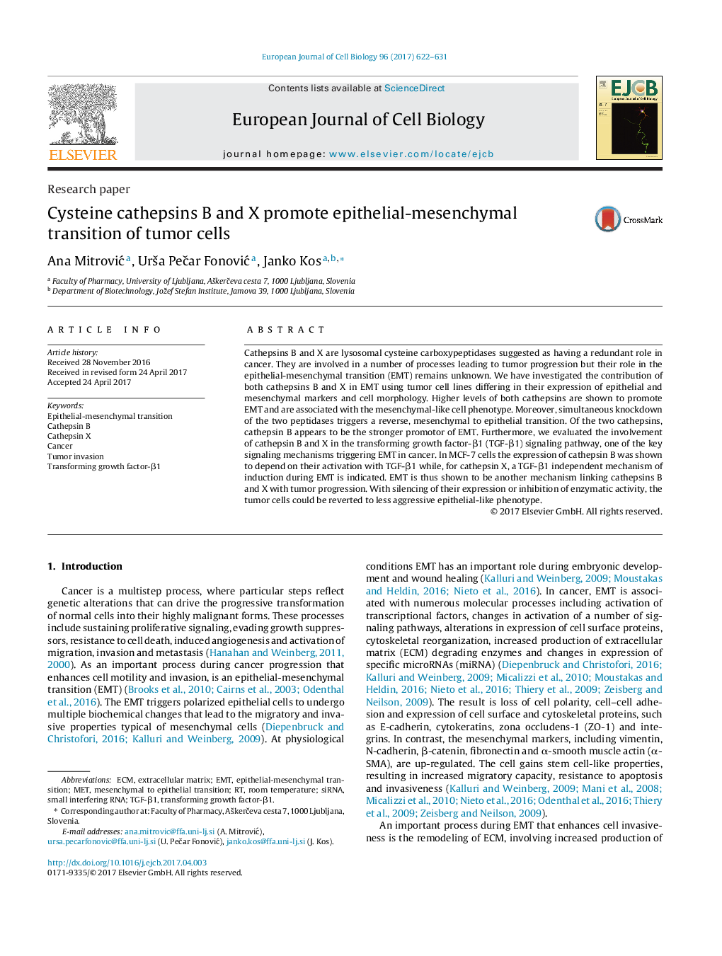 Research paperCysteine cathepsins B and X promote epithelial-mesenchymal transition of tumor cells