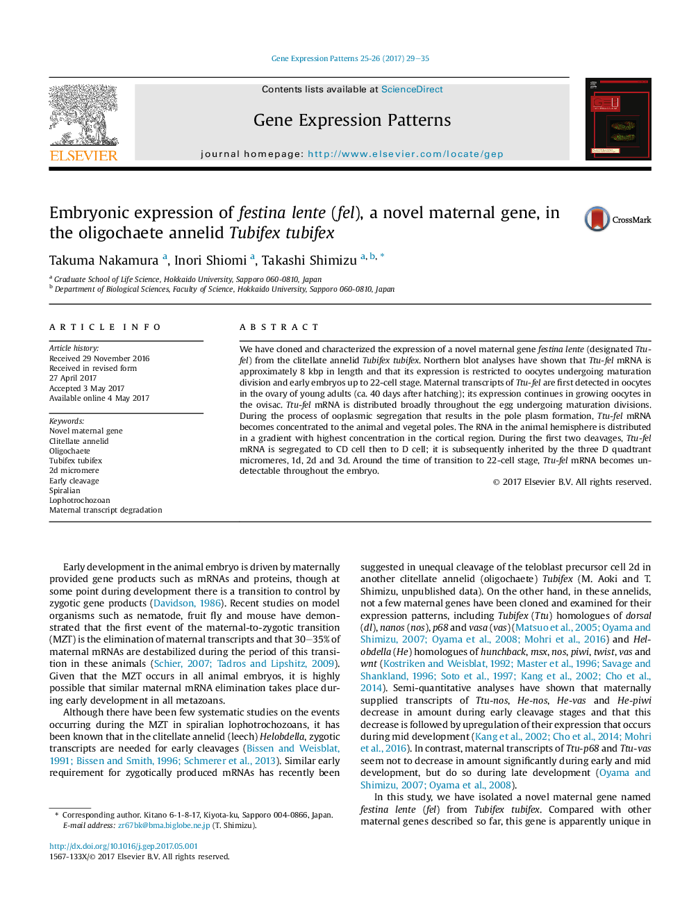 Embryonic expression of festina lente (fel), a novel maternal gene, in the oligochaete annelid Tubifex tubifex