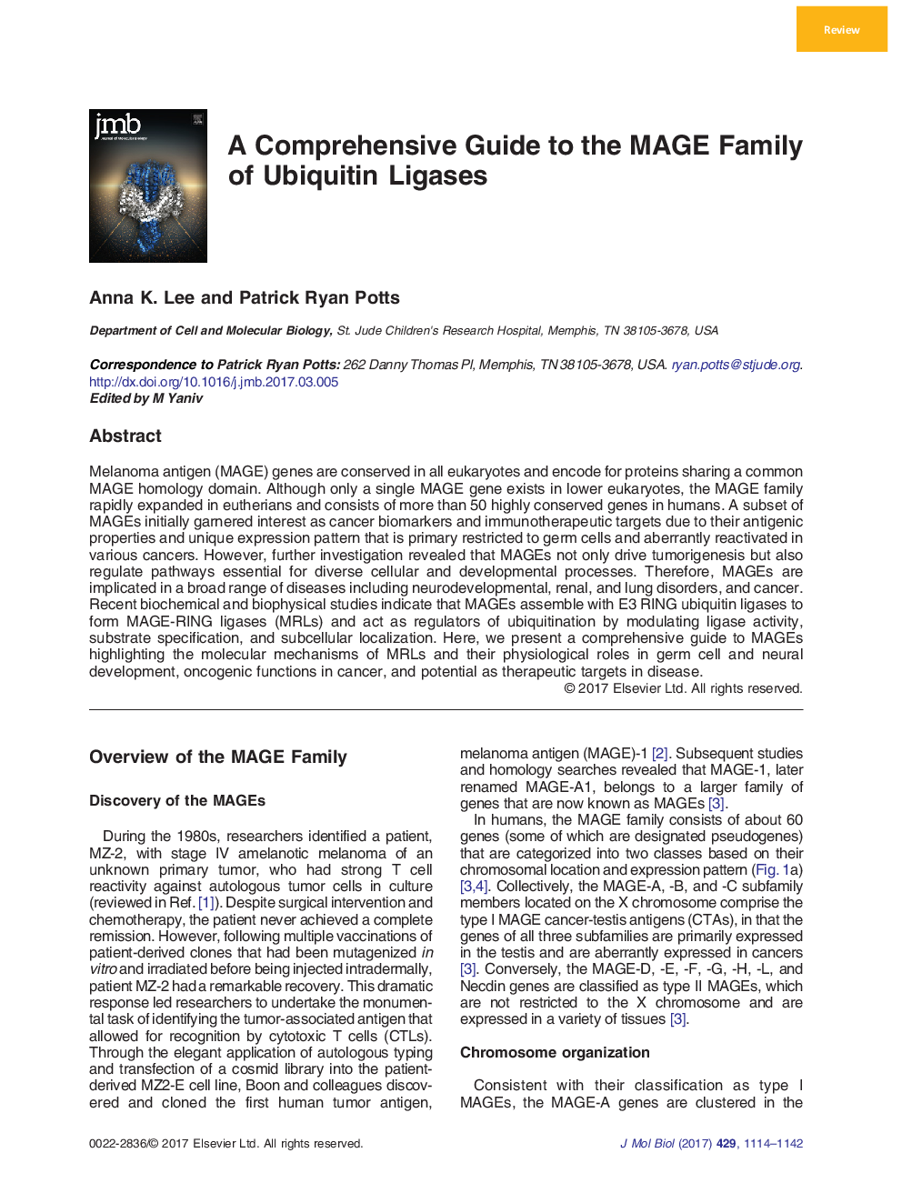 ReviewA Comprehensive Guide to the MAGE Family of Ubiquitin Ligases