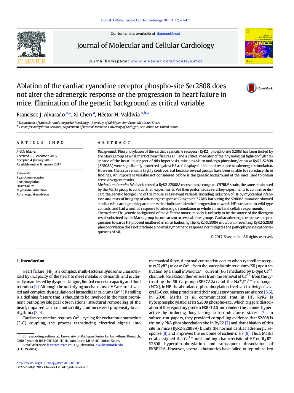 Ablation of the cardiac ryanodine receptor phospho-site Ser2808 does not alter the adrenergic response or the progression to heart failure in mice. Elimination of the genetic background as critical variable