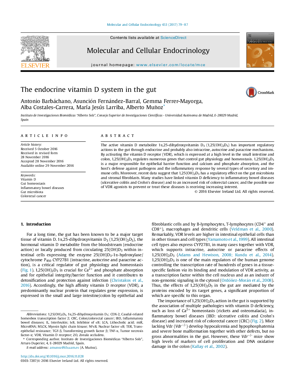 The endocrine vitamin D system in the gut