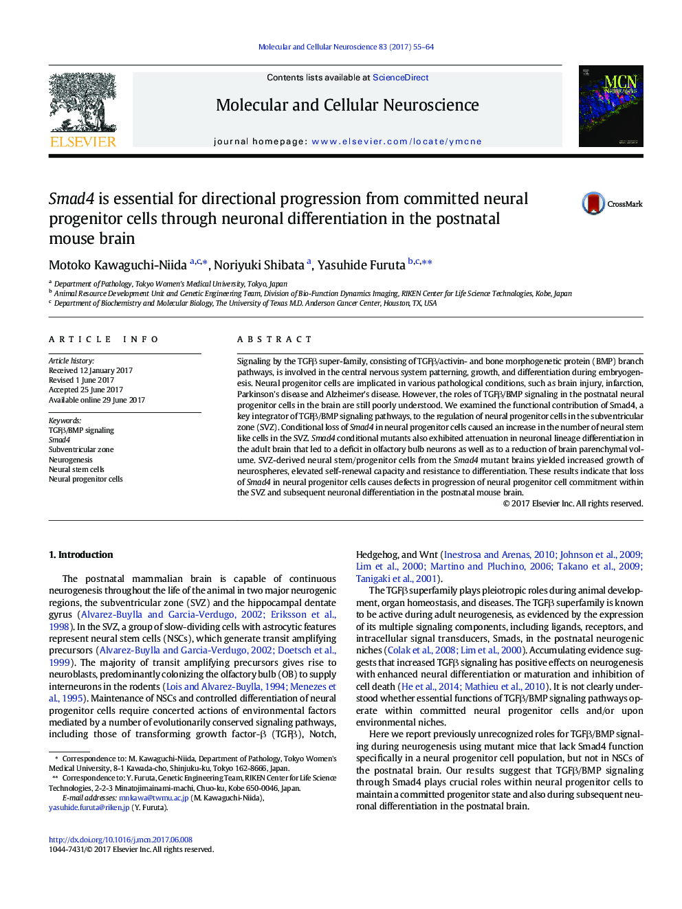 Smad4 is essential for directional progression from committed neural progenitor cells through neuronal differentiation in the postnatal mouse brain