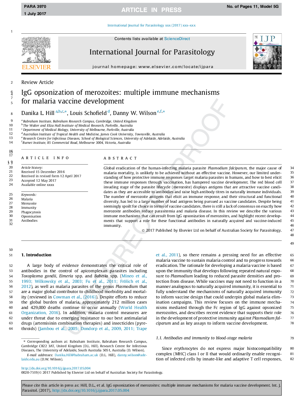 IgG opsonization of merozoites: multiple immune mechanisms for malaria vaccine development