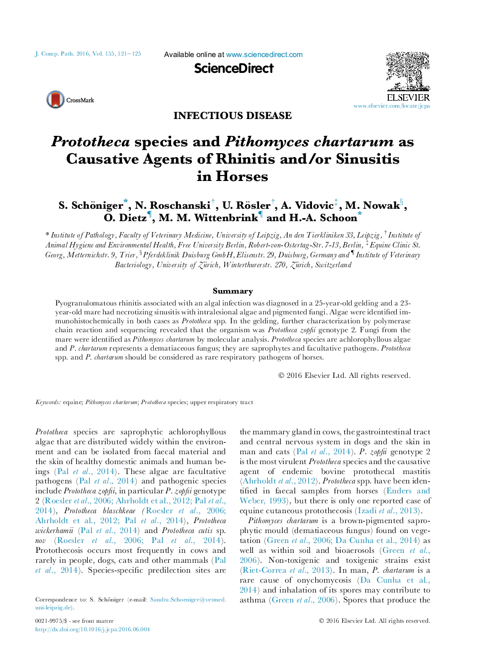 Infectious diseasePrototheca species and Pithomyces chartarum as Causative Agents of Rhinitis and/or Sinusitis in Horses