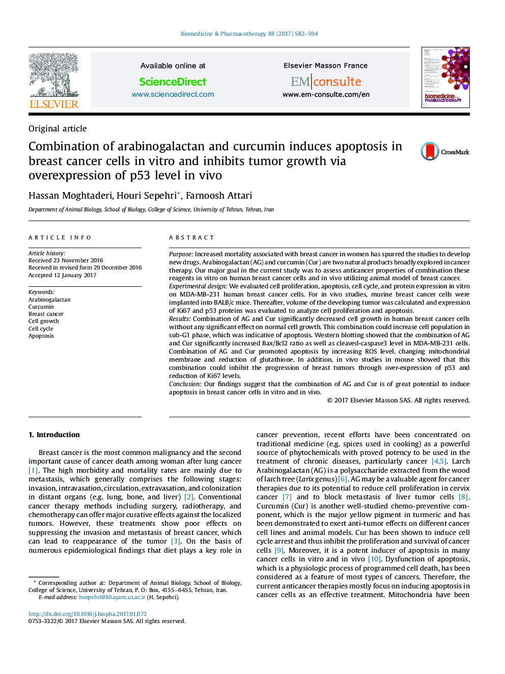 Combination of arabinogalactan and curcumin induces apoptosis in breast cancer cells in vitro and inhibits tumor growth via overexpression of p53 level in vivo