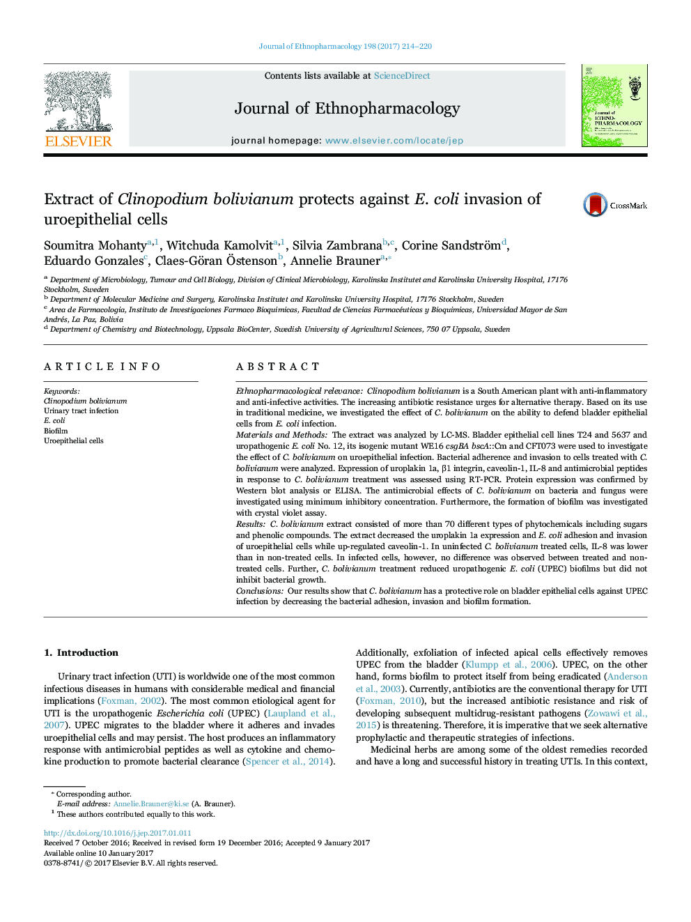 Extract of Clinopodium bolivianum protects against E. coli invasion of uroepithelial cells