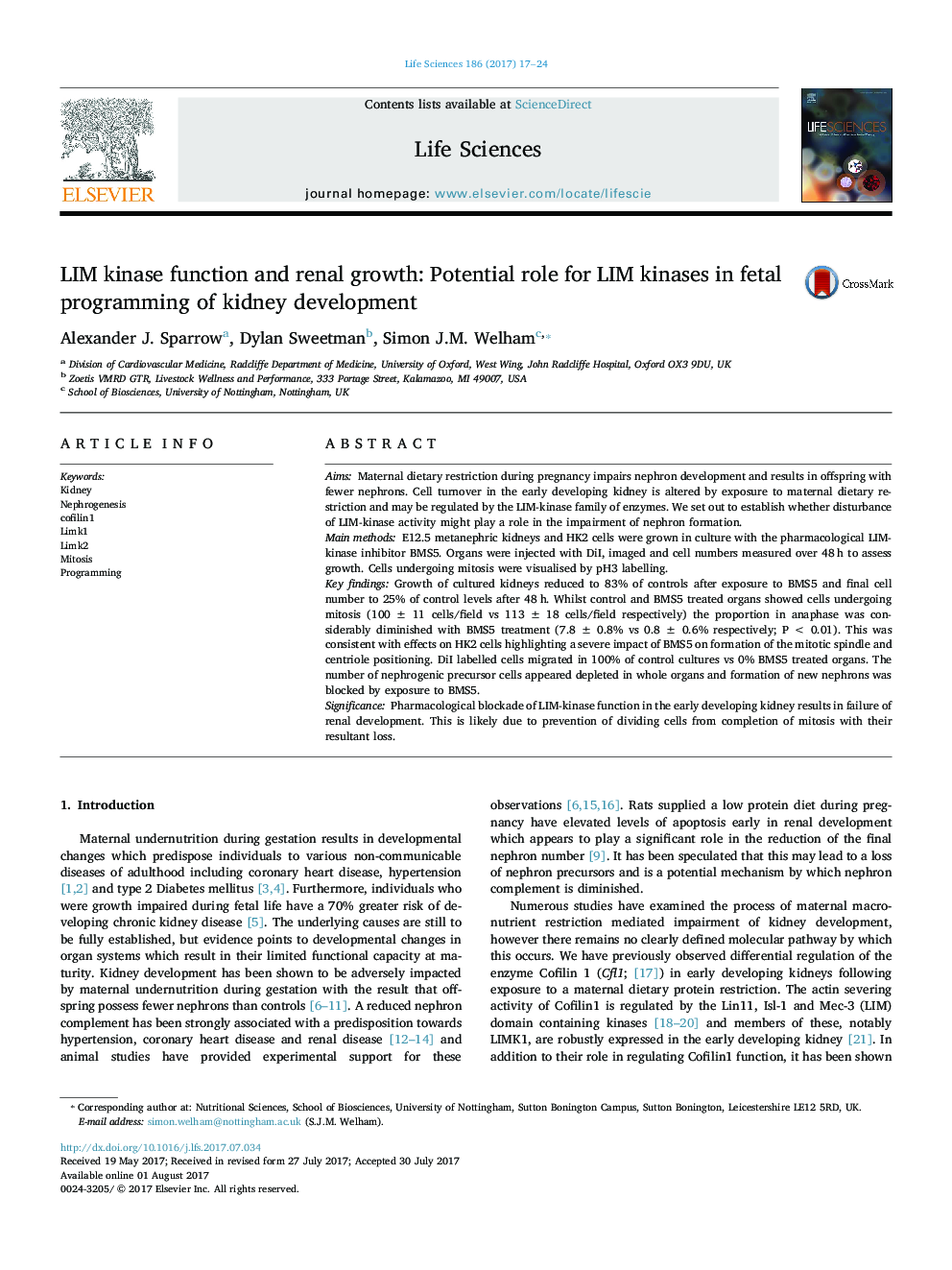 LIM kinase function and renal growth: Potential role for LIM kinases in fetal programming of kidney development