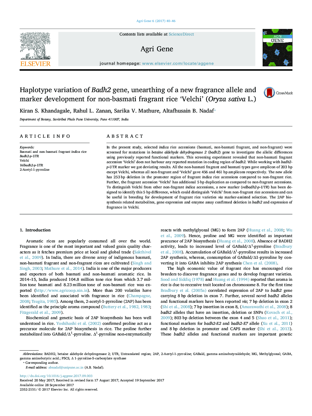 Haplotype variation of Badh2 gene, unearthing of a new fragrance allele and marker development for non-basmati fragrant rice 'Velchi' (Oryza sativa L.)