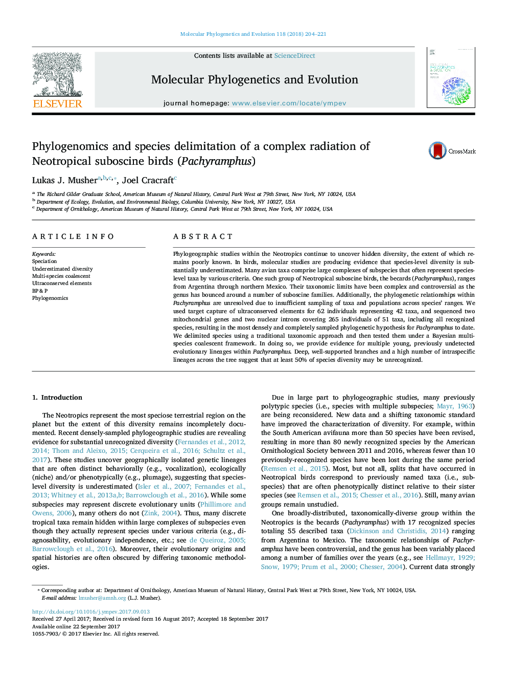 Phylogenomics and species delimitation of a complex radiation of Neotropical suboscine birds (Pachyramphus)