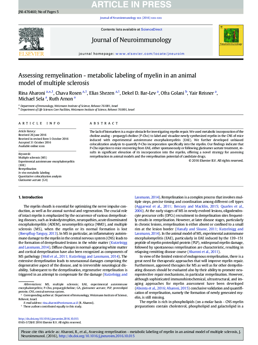 Assessing remyelination - metabolic labeling of myelin in an animal model of multiple sclerosis