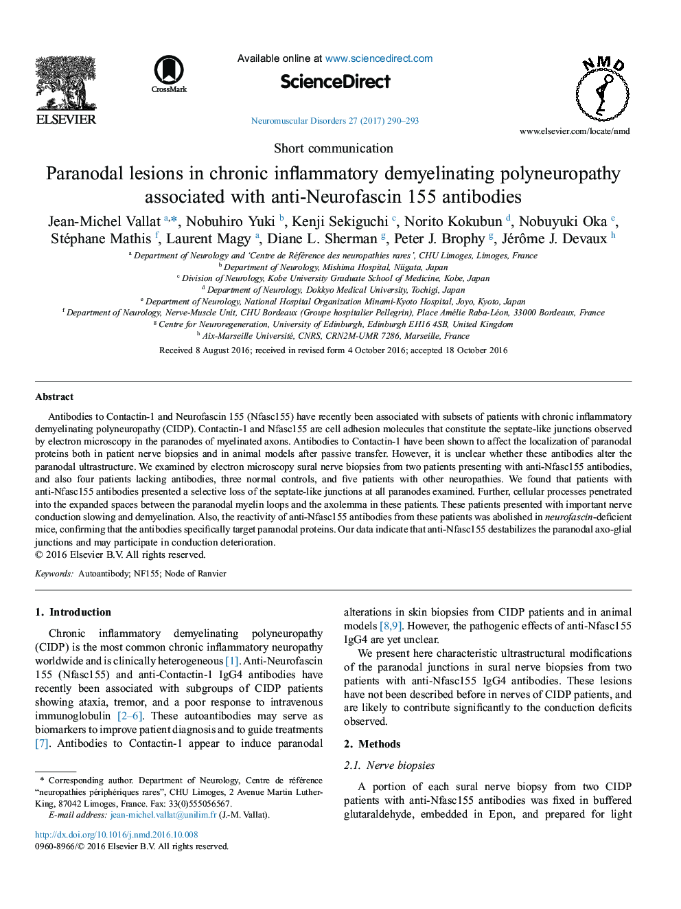 Short communicationParanodal lesions in chronic inflammatory demyelinating polyneuropathy associated with anti-Neurofascin 155 antibodies