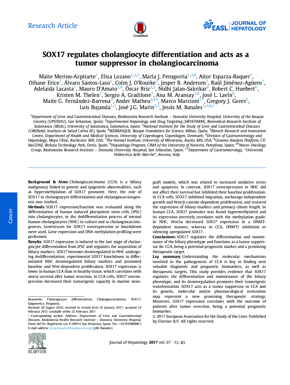 SOX17 regulates cholangiocyte differentiation and acts as a tumor suppressor in cholangiocarcinoma