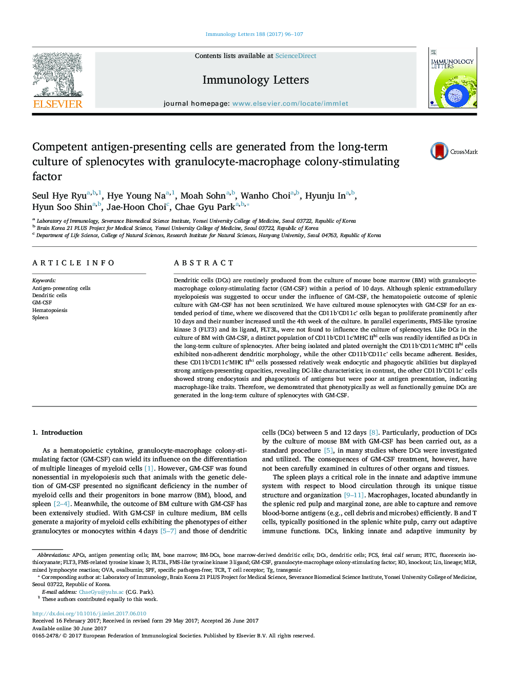 Competent antigen-presenting cells are generated from the long-term culture of splenocytes with granulocyte-macrophage colony-stimulating factor