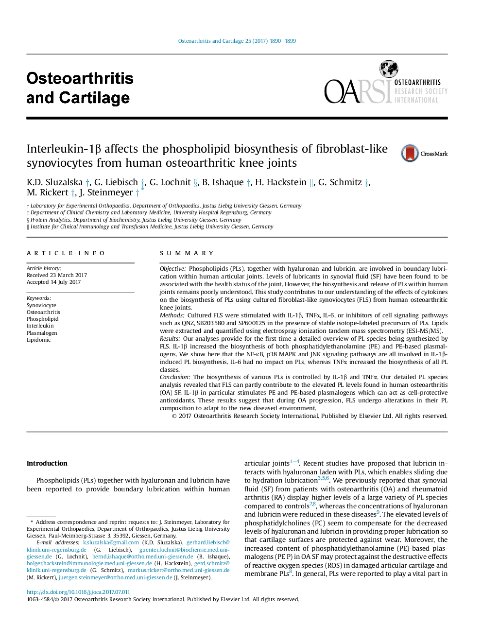 Interleukin-1Î² affects the phospholipid biosynthesis of fibroblast-like synoviocytes from human osteoarthritic knee joints