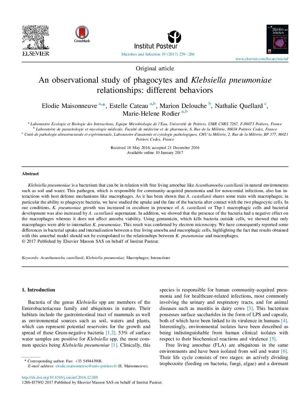 An observational study of phagocytes and Klebsiella pneumoniae relationships: different behaviors