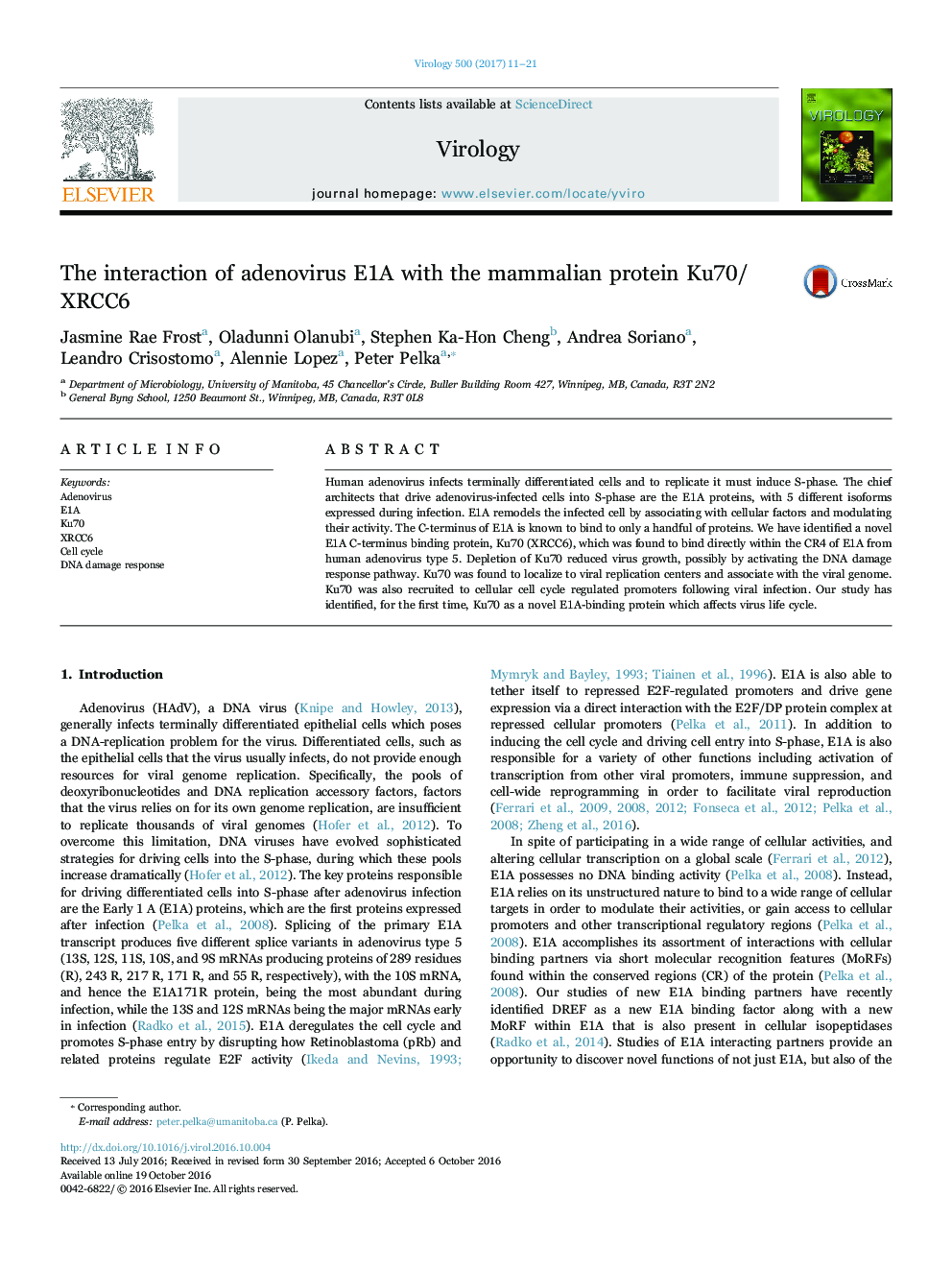 The interaction of adenovirus E1A with the mammalian protein Ku70/XRCC6