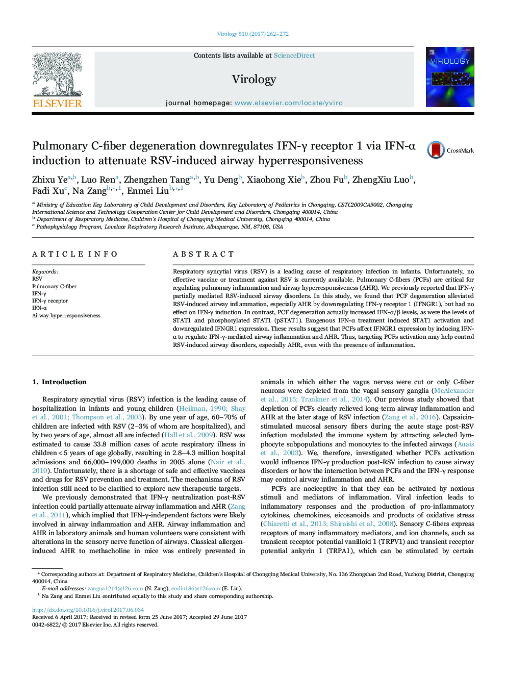 Pulmonary C-fiber degeneration downregulates IFN-Î³ receptor 1 via IFN-Î± induction to attenuate RSV-induced airway hyperresponsiveness