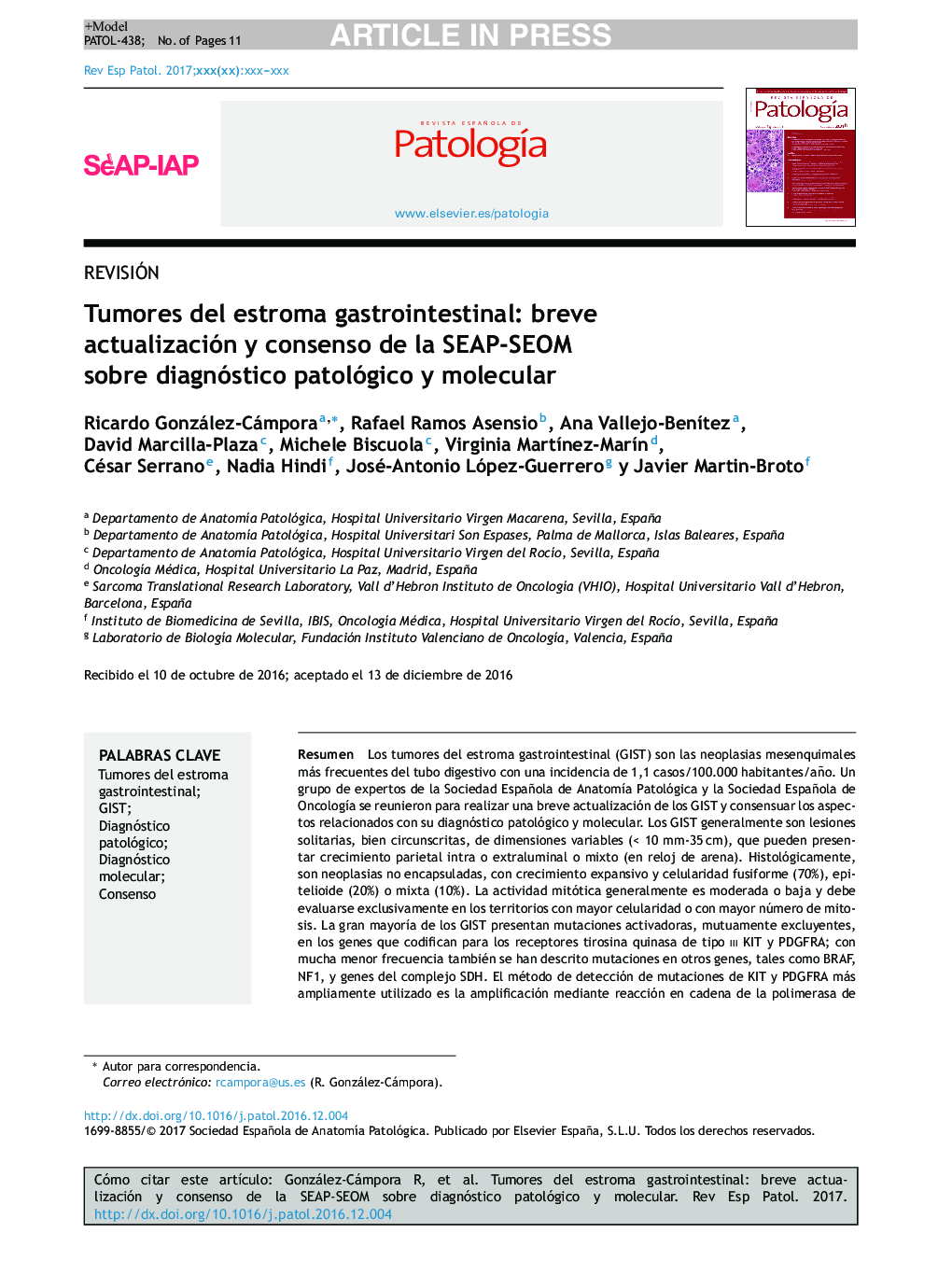 Tumores del estroma gastrointestinal: breve actualización y consenso de la SEAP-SEOM sobre diagnóstico patológico y molecular