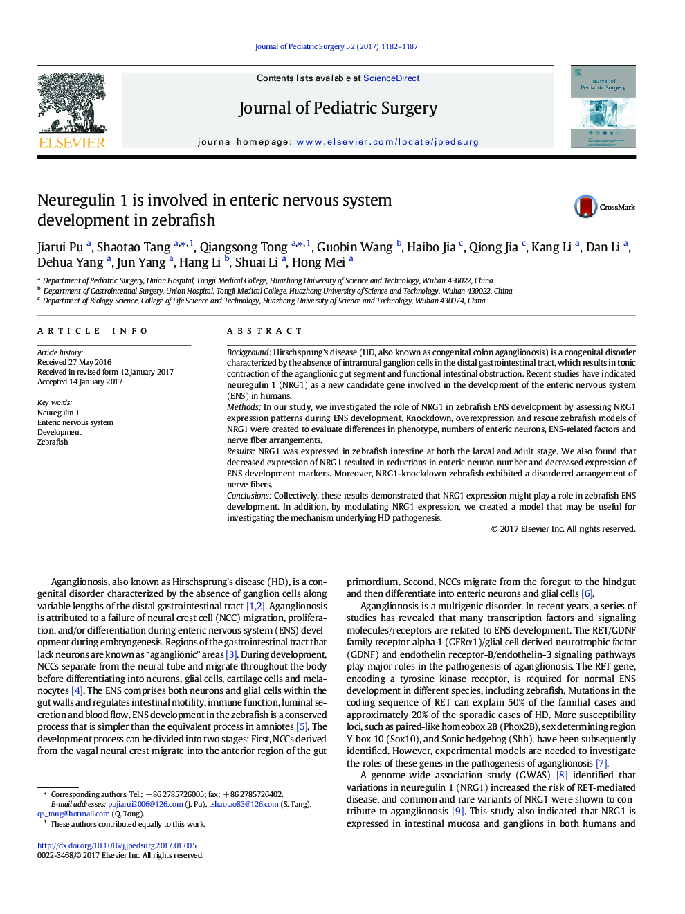 Basic Science PaperNeuregulin 1 is involved in enteric nervous system development in zebrafish