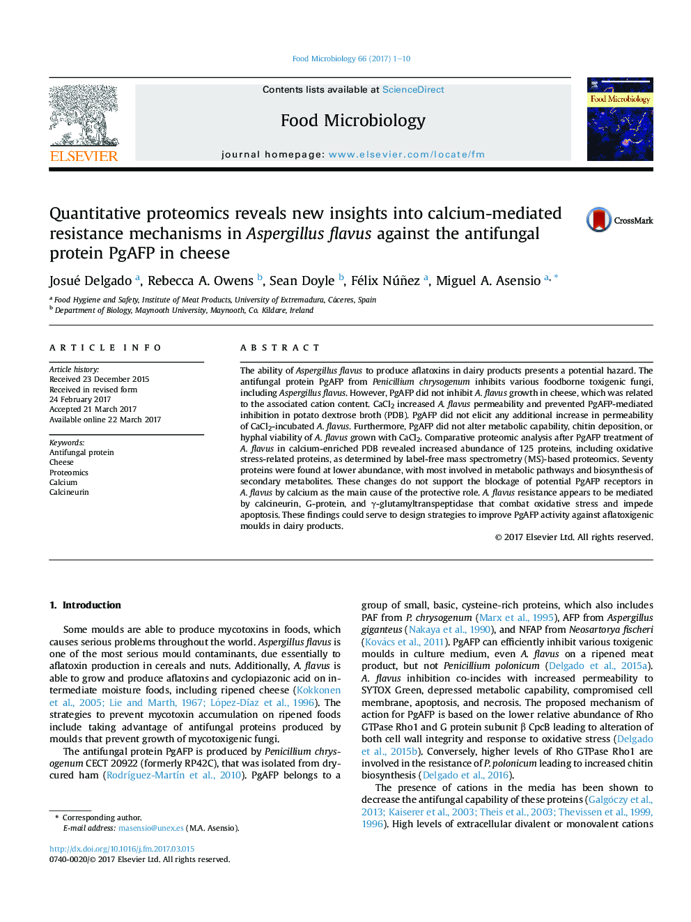Quantitative proteomics reveals new insights into calcium-mediated resistance mechanisms in Aspergillus flavus against the antifungal protein PgAFP in cheese