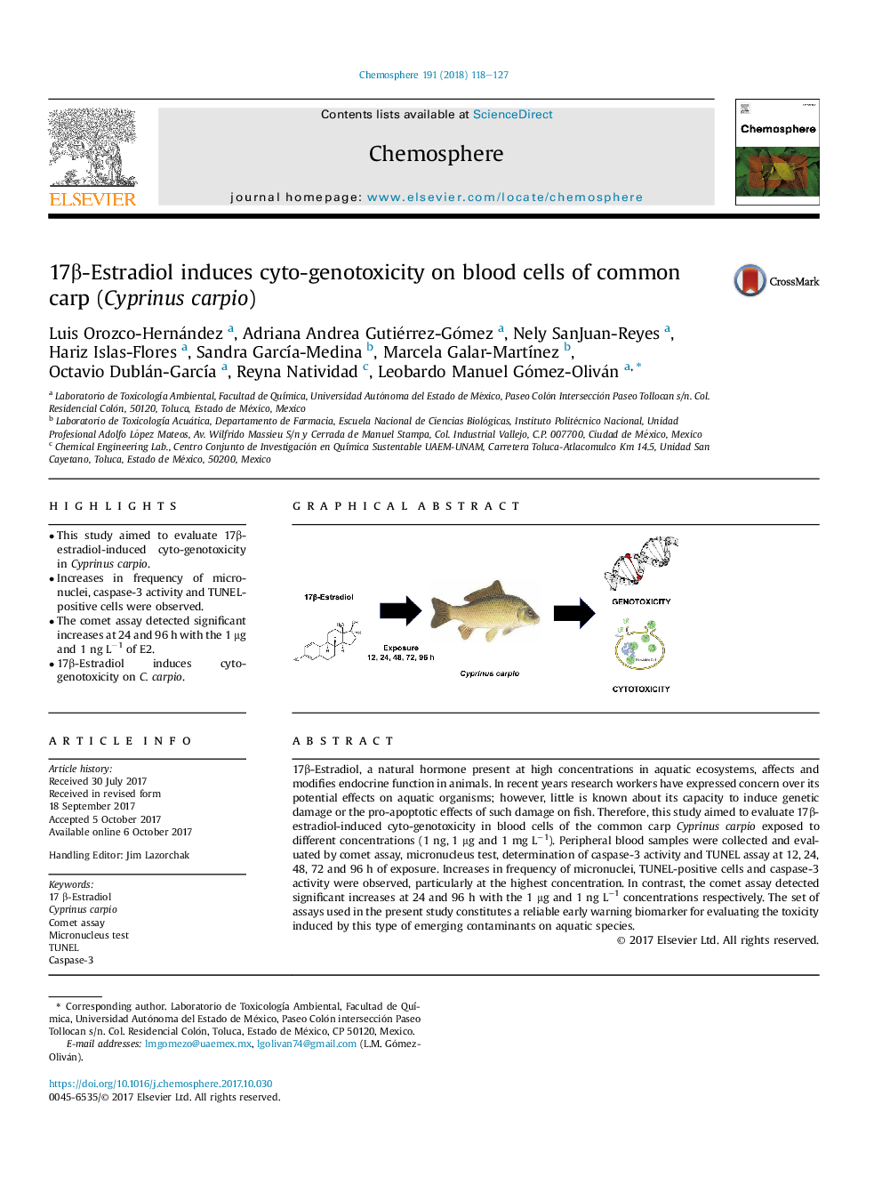 17Î²-Estradiol induces cyto-genotoxicity on blood cells of common carp (Cyprinus carpio)