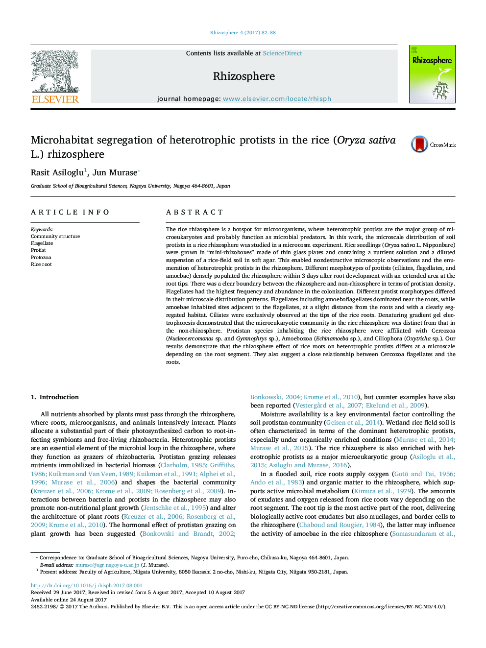 Microhabitat segregation of heterotrophic protists in the rice (Oryza sativa L.) rhizosphere