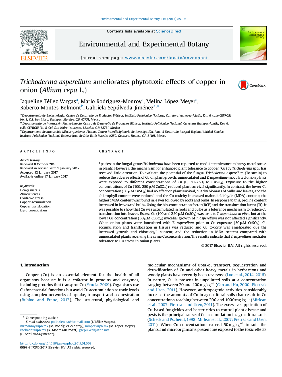 Trichoderma asperellum ameliorates phytotoxic effects of copper in onion (Allium cepa L.)