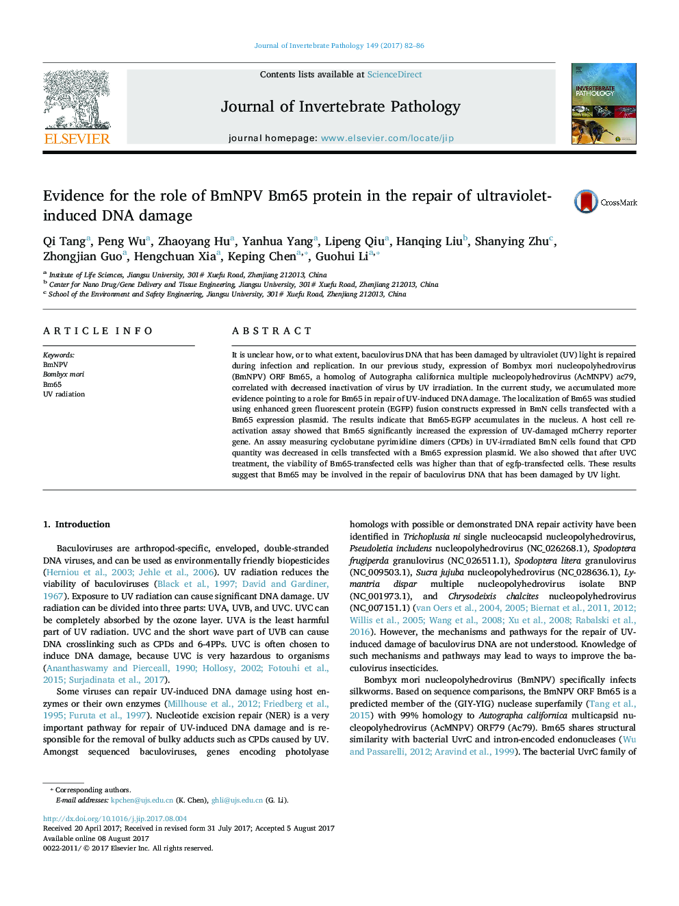 Evidence for the role of BmNPV Bm65 protein in the repair of ultraviolet-induced DNA damage