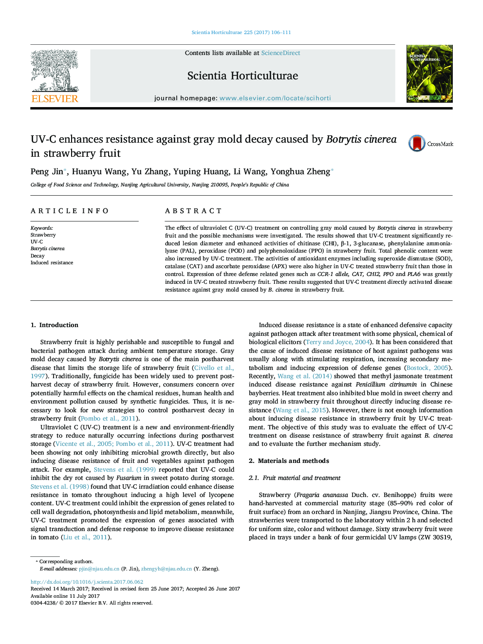 UV-C enhances resistance against gray mold decay caused by Botrytis cinerea in strawberry fruit