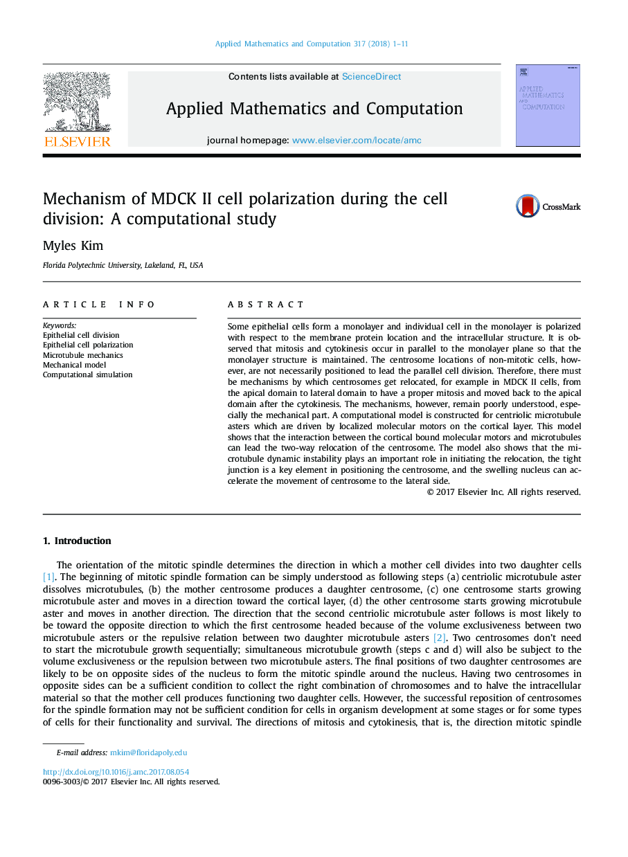 Mechanism of MDCK II cell polarization during the cell division: A computational study