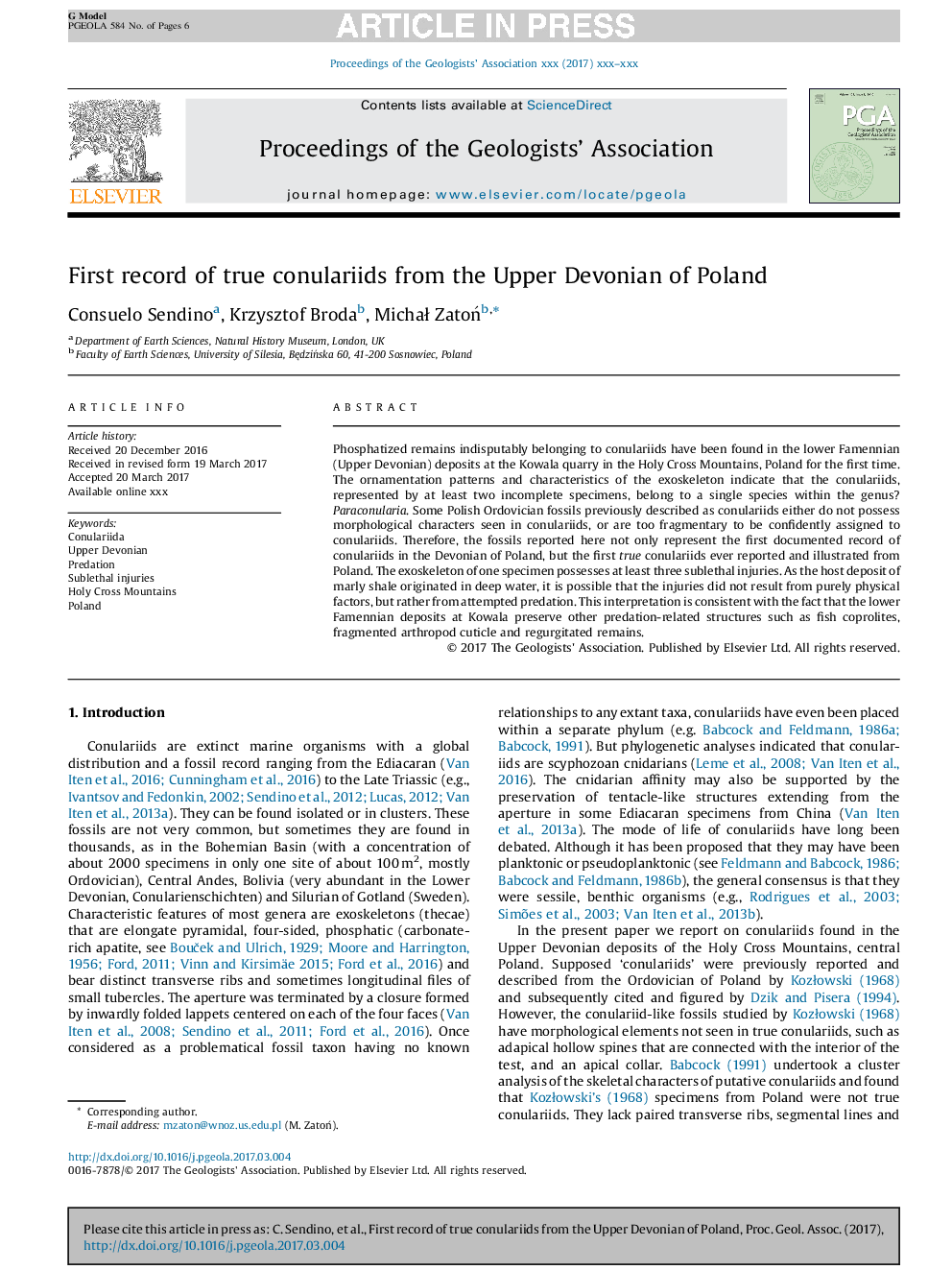 First record of true conulariids from the Upper Devonian of Poland