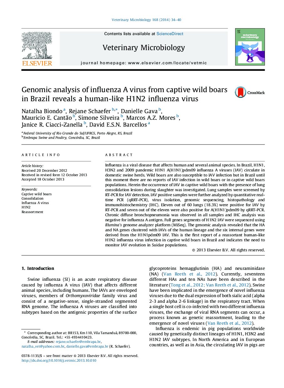 Genomic analysis of influenza A virus from captive wild boars in Brazil reveals a human-like H1N2 influenza virus