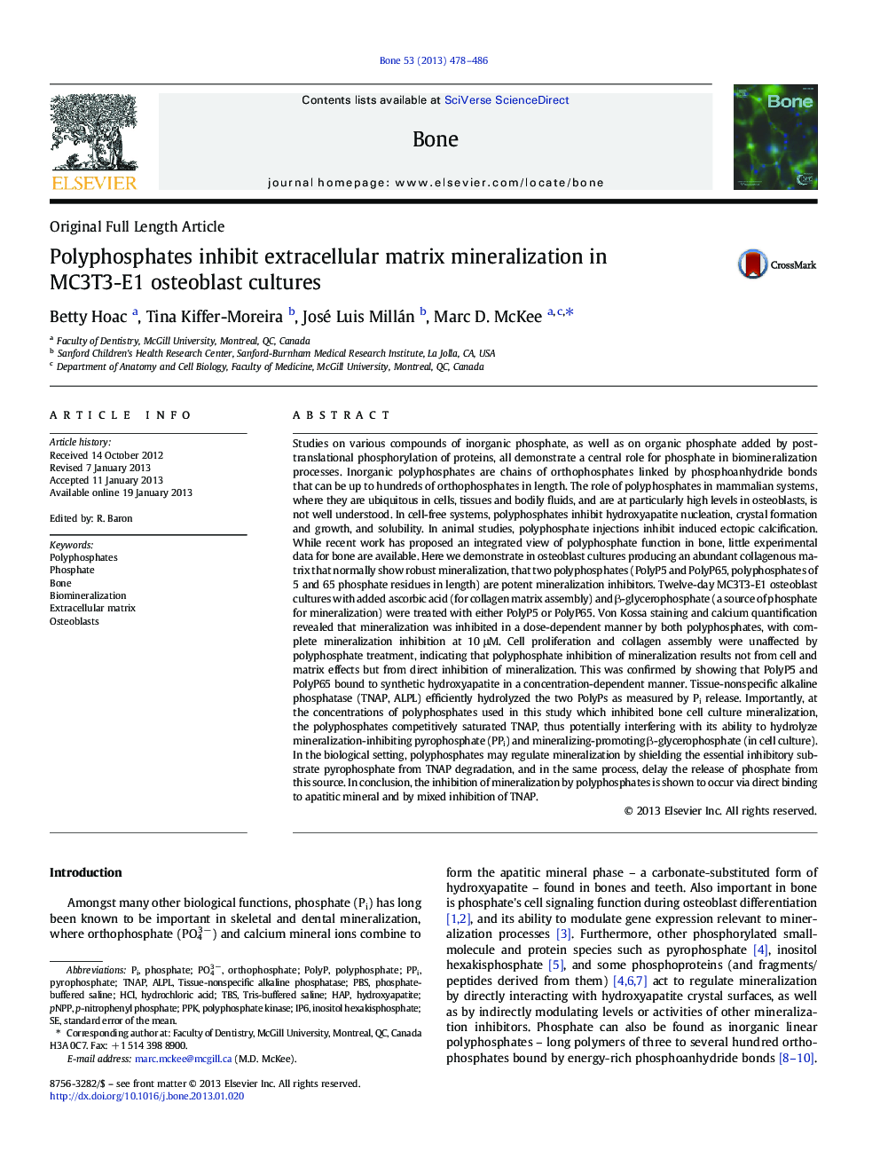 Polyphosphates inhibit extracellular matrix mineralization in MC3T3-E1 osteoblast cultures
