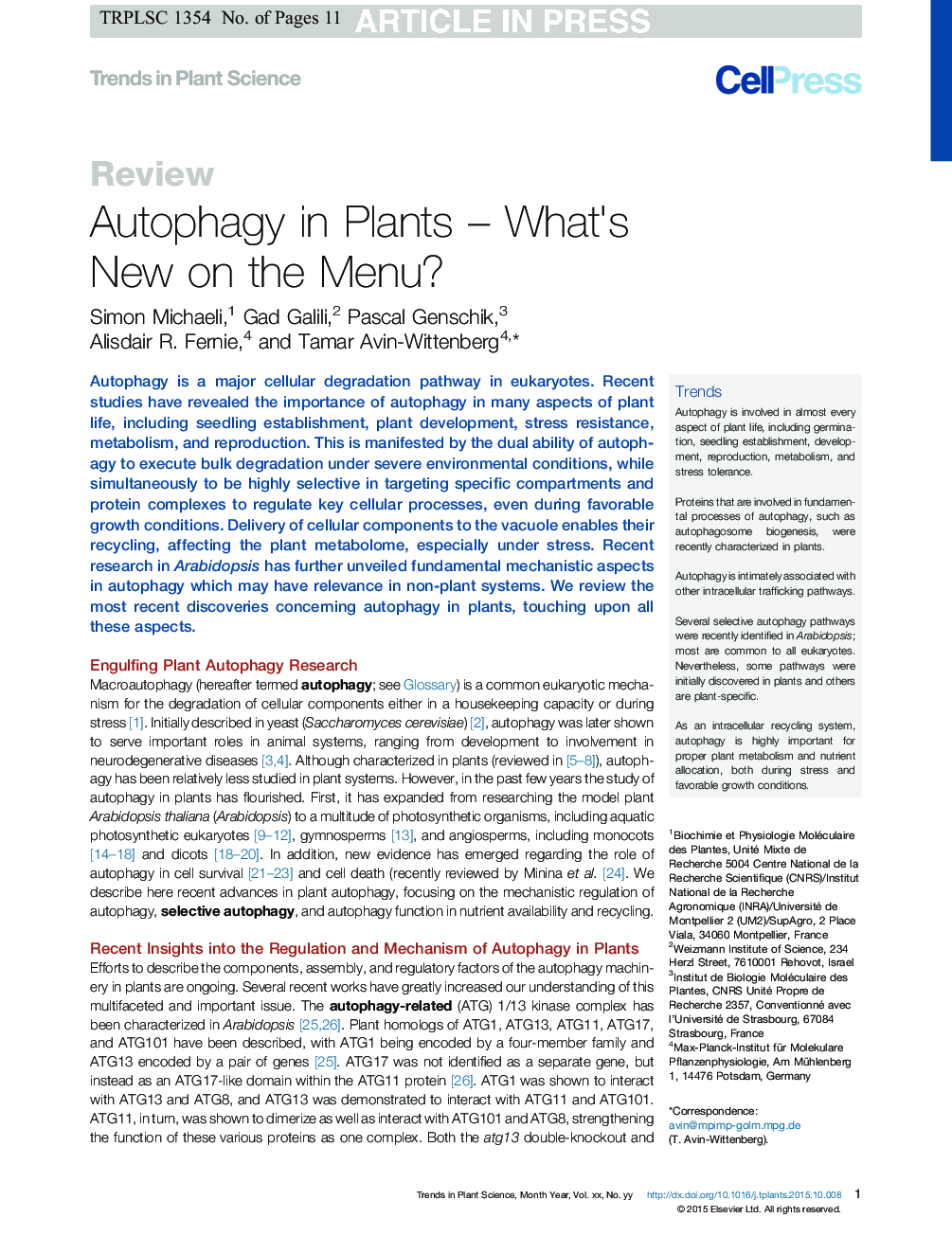 Autophagy in Plants - What's New on the Menu?