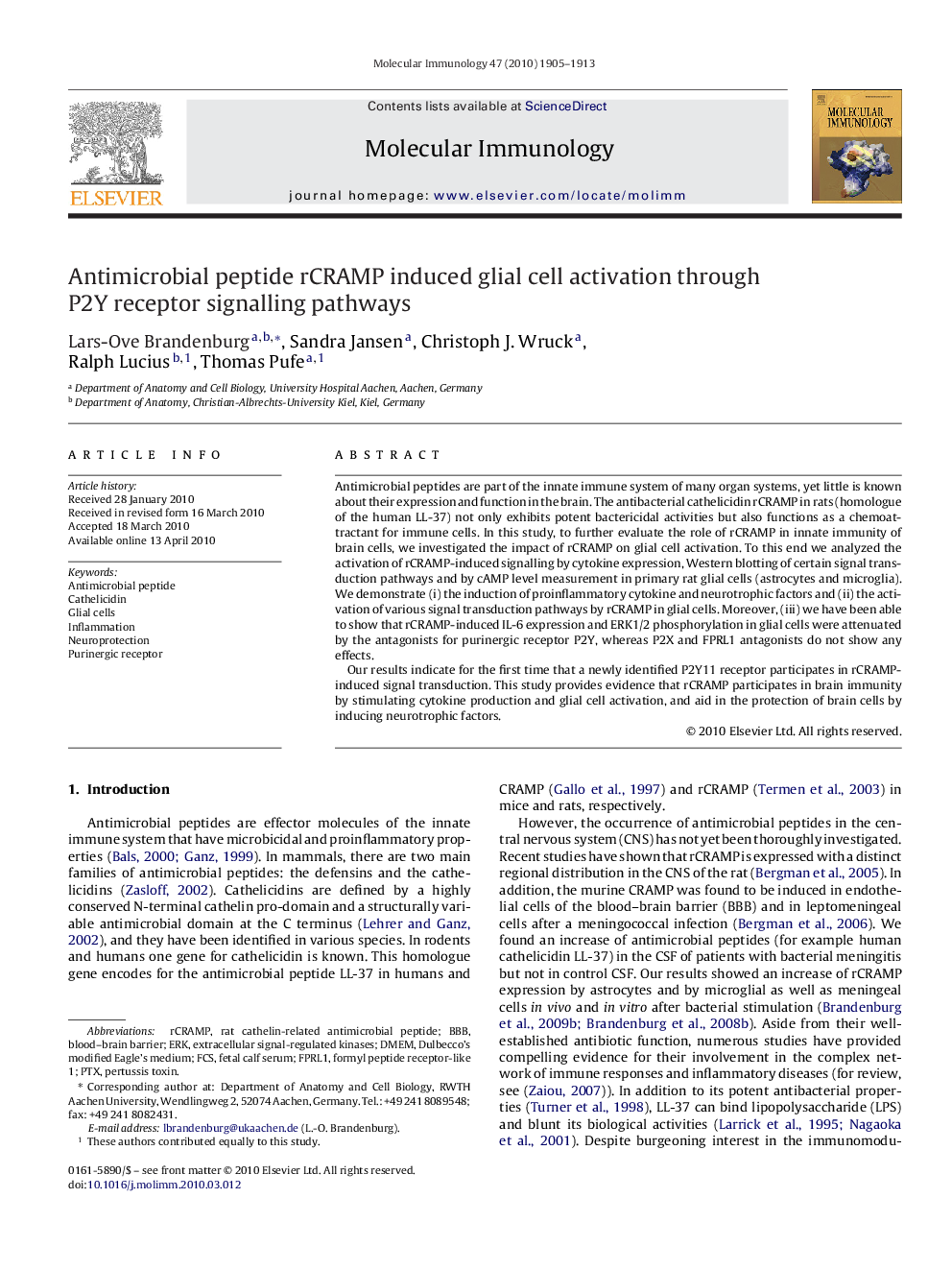 Antimicrobial peptide rCRAMP induced glial cell activation through P2Y receptor signalling pathways