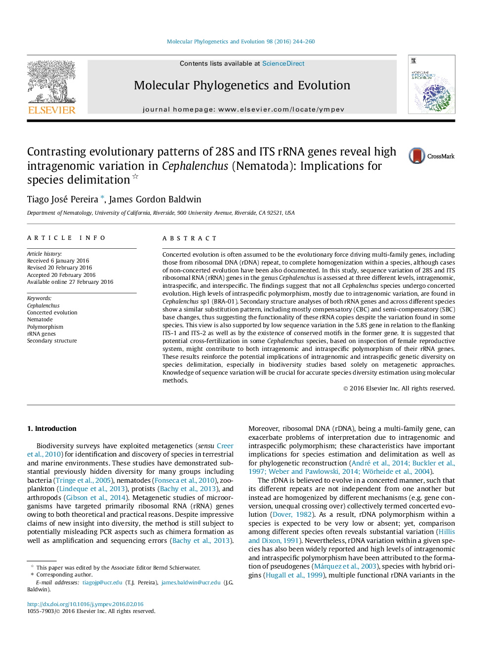 Contrasting evolutionary patterns of 28S and ITS rRNA genes reveal high intragenomic variation in Cephalenchus (Nematoda): Implications for species delimitation