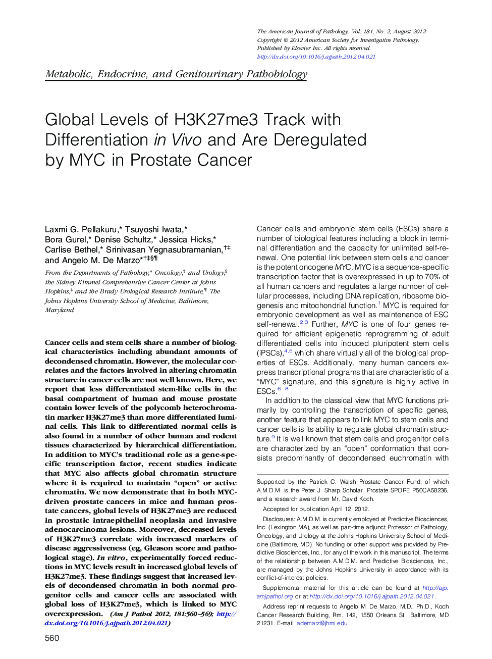 Global Levels of H3K27me3 Track with Differentiation in Vivo and Are Deregulated by MYC in Prostate Cancer