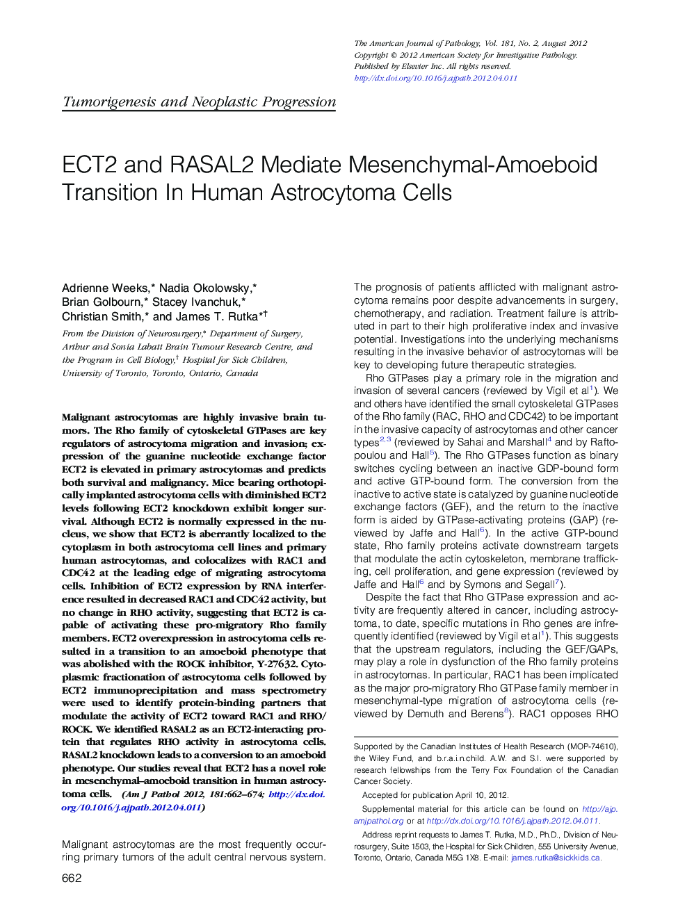 ECT2 and RASAL2 Mediate Mesenchymal-Amoeboid Transition In Human Astrocytoma Cells