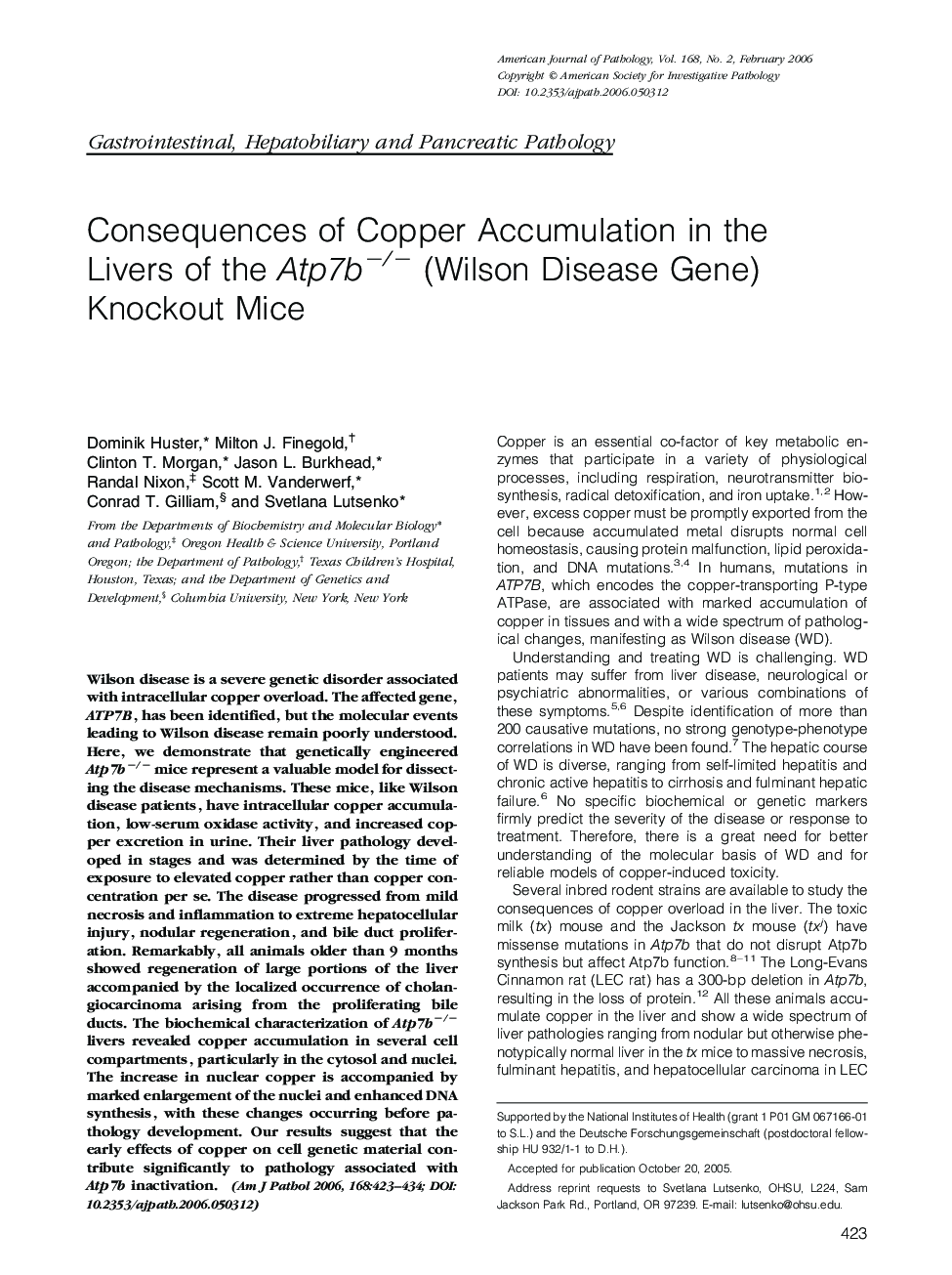 Consequences of Copper Accumulation in the Livers of the Atp7bâ/â (Wilson Disease Gene) Knockout Mice