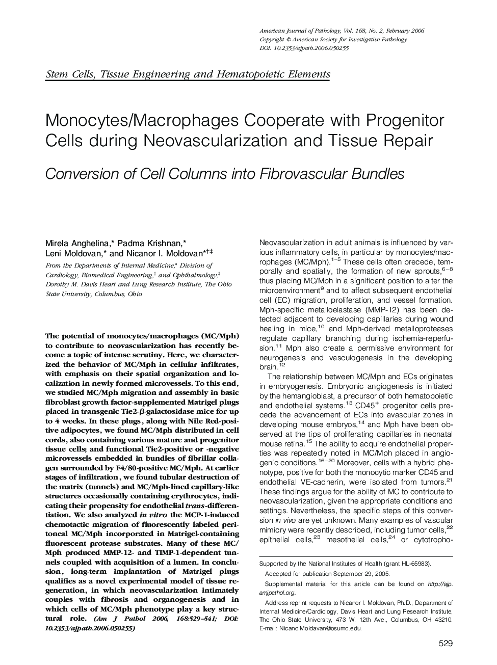 Regular ArticlesMonocytes/Macrophages Cooperate with Progenitor Cells during Neovascularization and Tissue Repair: Conversion of Cell Columns into Fibrovascular Bundles